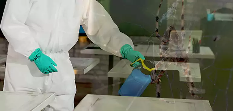Why Buyers Still Want Homes With Pest Infestations in Sussex, WI?
