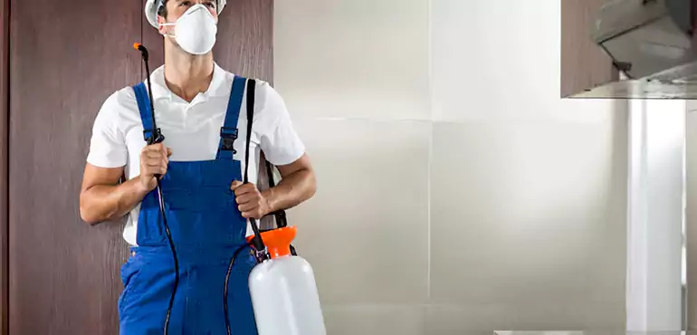 Why Sussex Homeowners Choose Us When Pests Make Selling Difficult