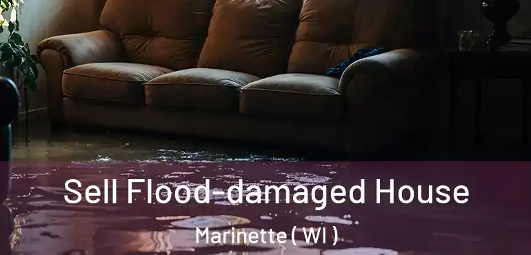  Sell Flood-damaged House Marinette ( WI )