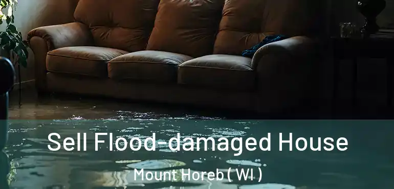  Sell Flood-damaged House Mount Horeb ( WI )