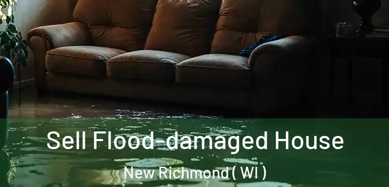  Sell Flood-damaged House New Richmond ( WI )