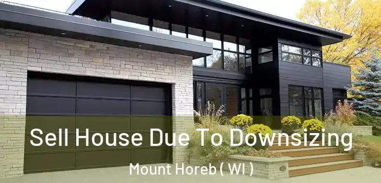  Sell House Due To Downsizing Mount Horeb ( WI )
