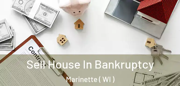  Sell House In Bankruptcy Marinette ( WI )