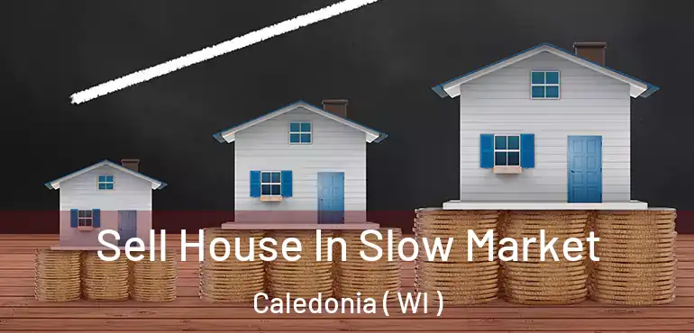  Sell House In Slow Market Caledonia ( WI )
