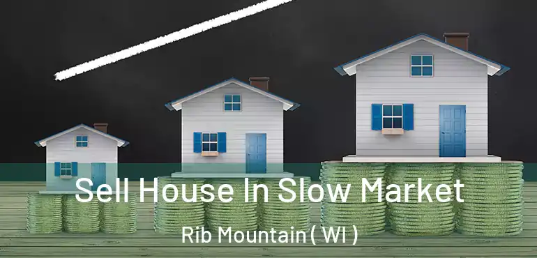 Sell House In Slow Market Rib Mountain ( WI )