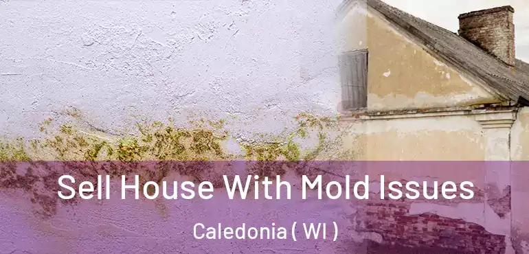  Sell House With Mold Issues Caledonia ( WI )