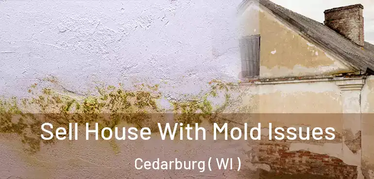  Sell House With Mold Issues Cedarburg ( WI )
