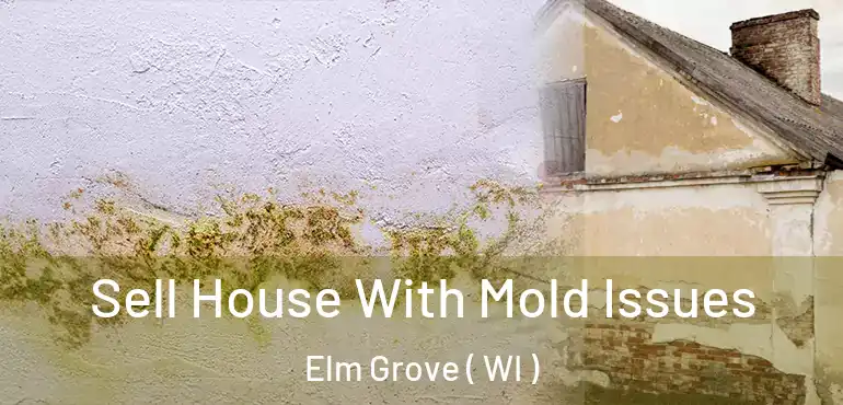  Sell House With Mold Issues Elm Grove ( WI )