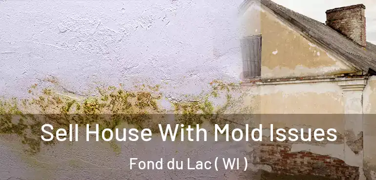  Sell House With Mold Issues Fond du Lac ( WI )