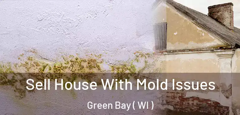  Sell House With Mold Issues Green Bay ( WI )