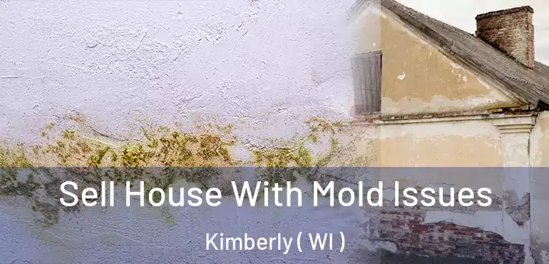  Sell House With Mold Issues Kimberly ( WI )