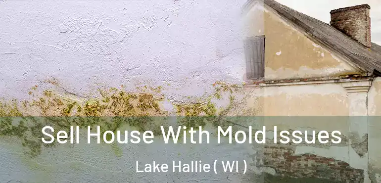  Sell House With Mold Issues Lake Hallie ( WI )
