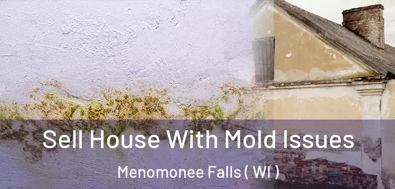  Sell House With Mold Issues Menomonee Falls ( WI )