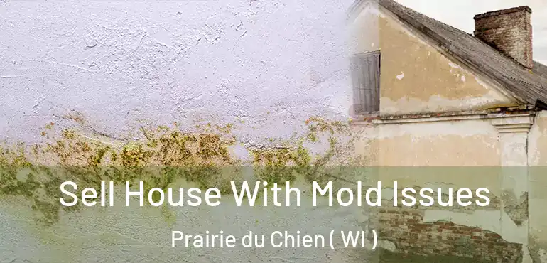  Sell House With Mold Issues Prairie du Chien ( WI )