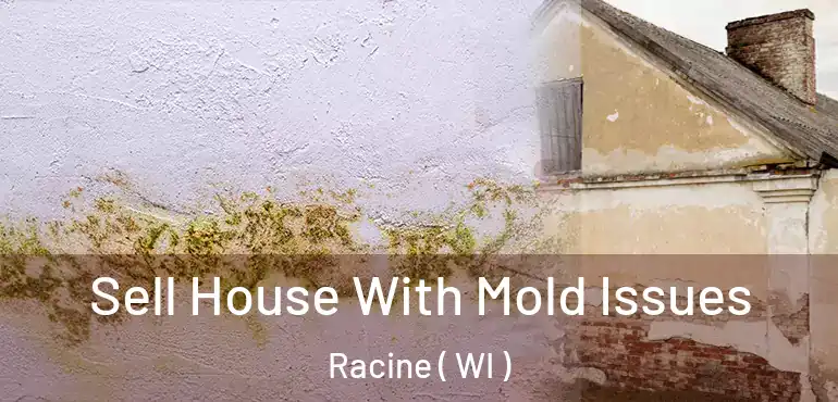  Sell House With Mold Issues Racine ( WI )