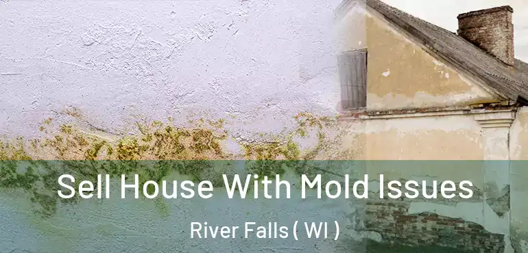  Sell House With Mold Issues River Falls ( WI )