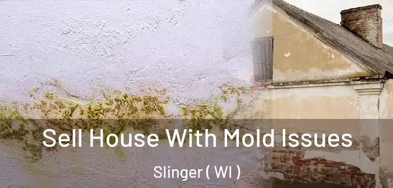  Sell House With Mold Issues Slinger ( WI )