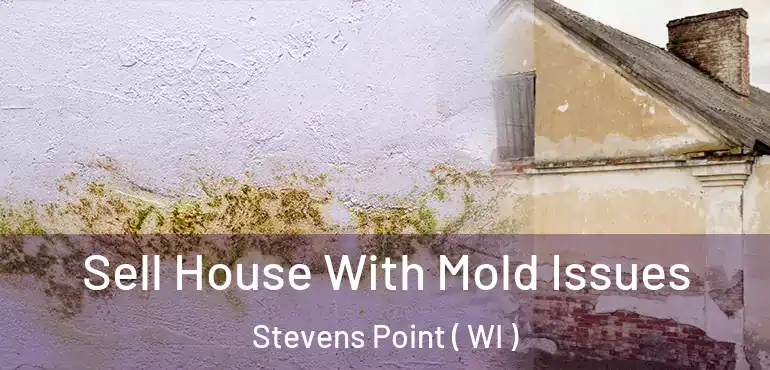  Sell House With Mold Issues Stevens Point ( WI )