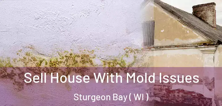  Sell House With Mold Issues Sturgeon Bay ( WI )