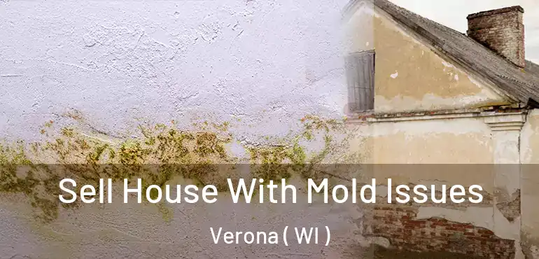  Sell House With Mold Issues Verona ( WI )