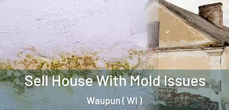 Sell House With Mold Issues Waupun ( WI )