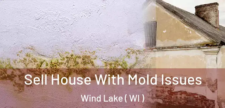  Sell House With Mold Issues Wind Lake ( WI )