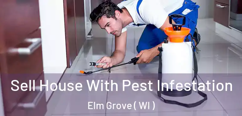  Sell House With Pest Infestation Elm Grove ( WI )