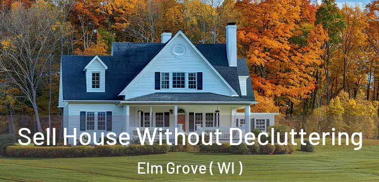  Sell House Without Decluttering Elm Grove ( WI )
